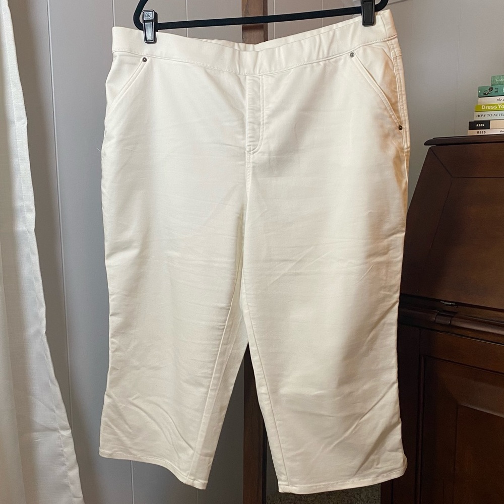 Intro. ❤️ love the fit Women's Rose Capri Power Stretch Tummy Control Pull-On